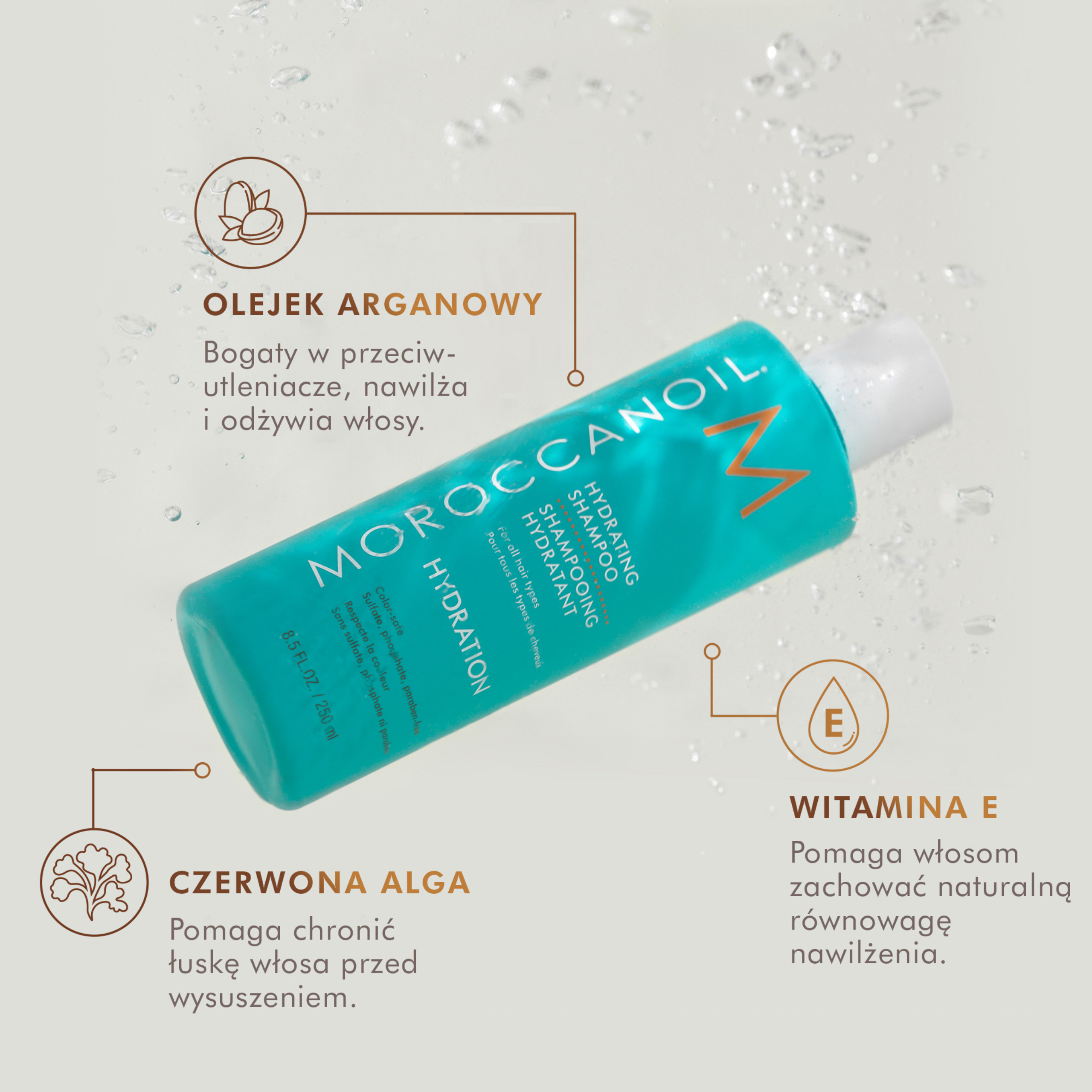 Moroccanoil Hydration Application