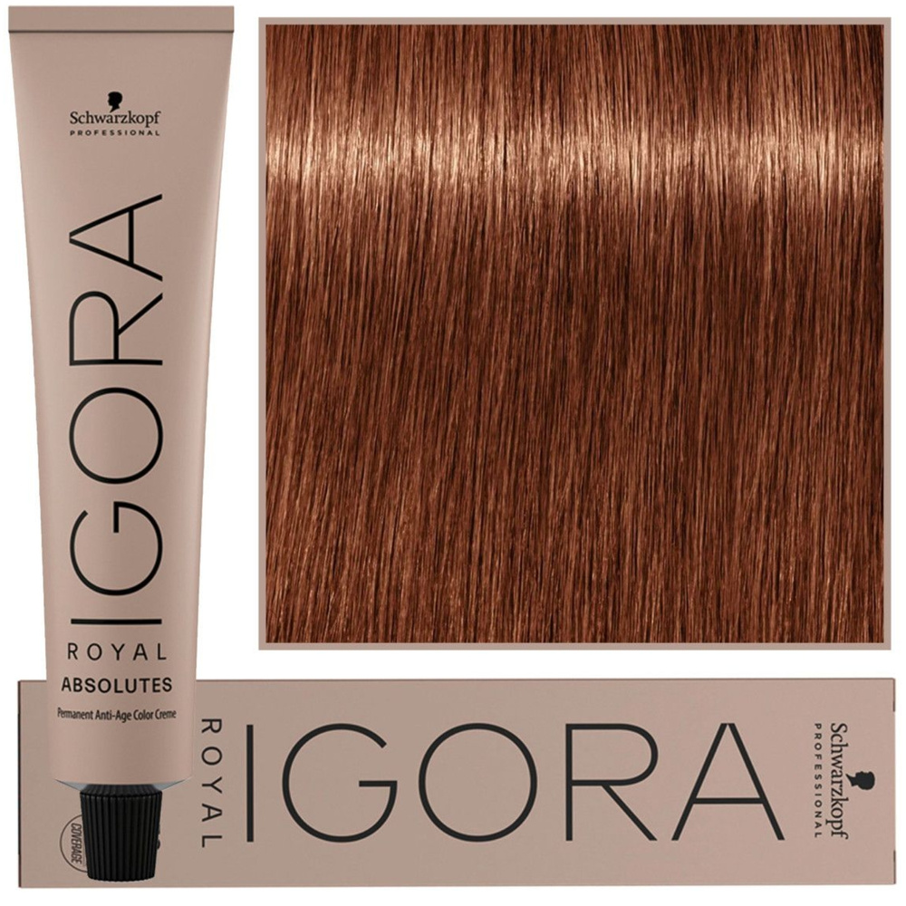 Schwarzkopf Farba Igora Royal Absolutes 60ml 7-560